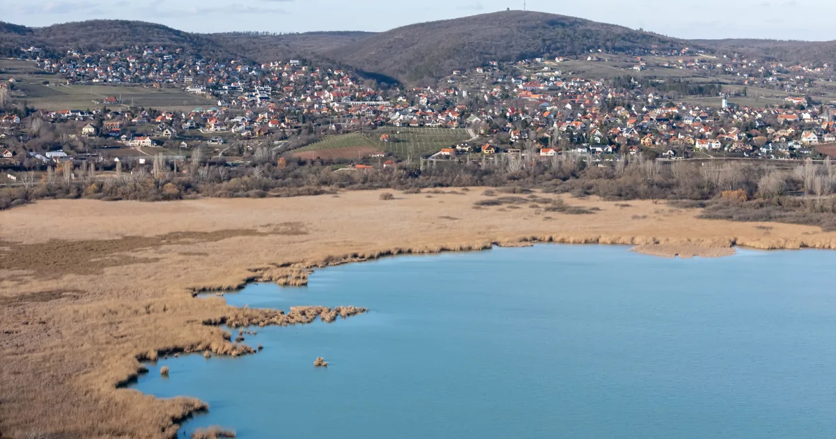 Balatoni védett erdőt irtottak egy villa építése miatt, száz év is kell a regenerációhoz