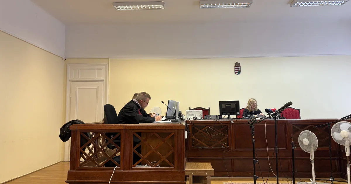 Elítélték az anyát, akinek a budapesti strand medencéjében fulladt meg az ötéves kisfia