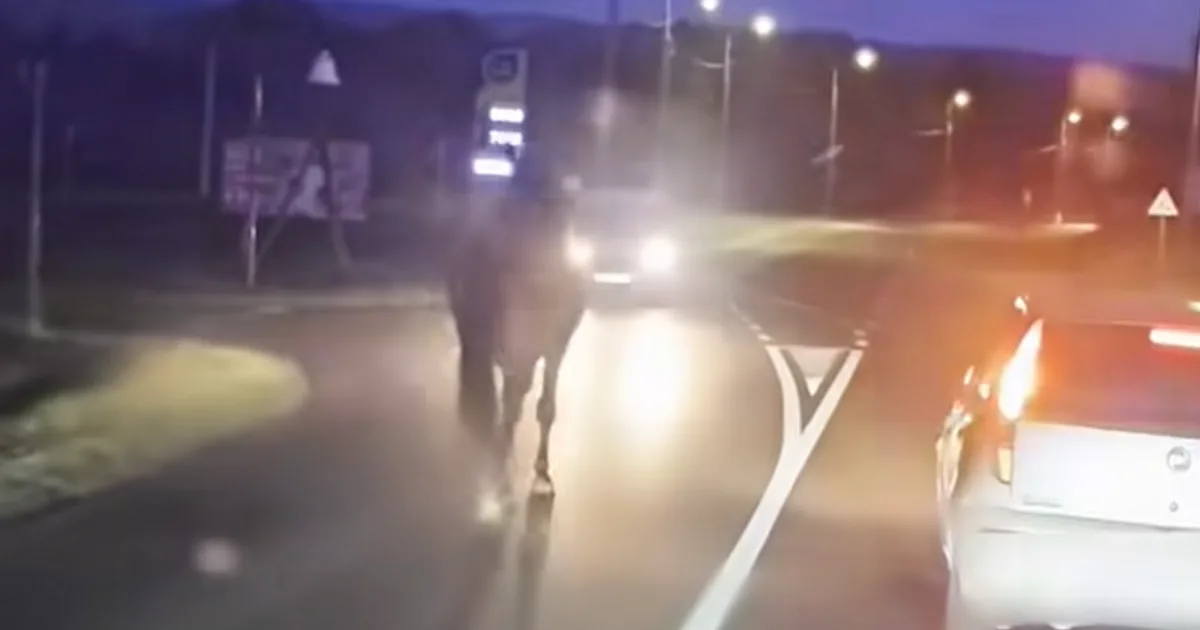 Elszabadult ló riadalmat keltett Keszthelyen, autóval ütközött