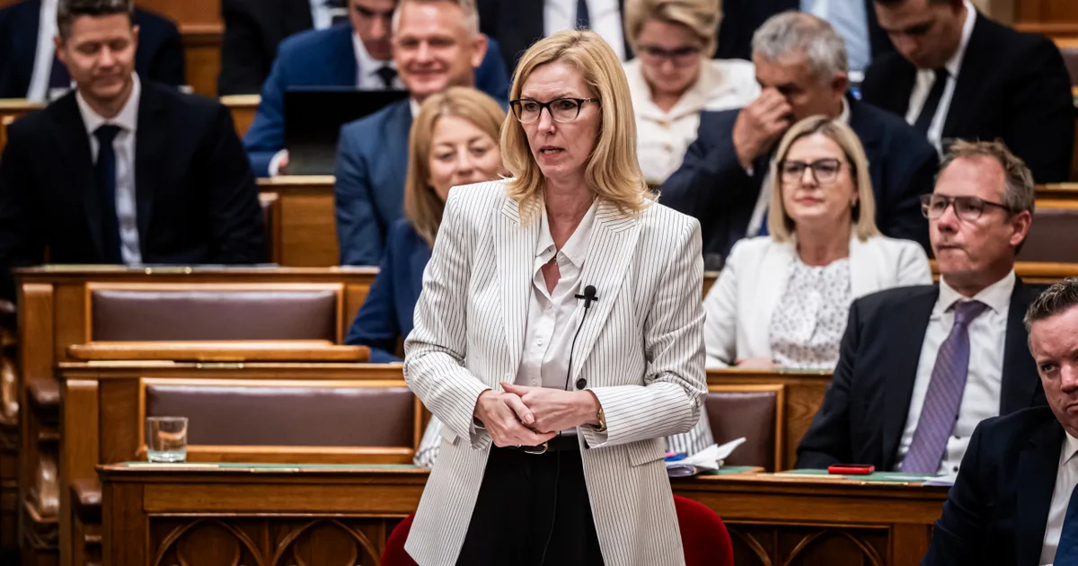 Görög Márta a parlamenti ülés előtt: több fontos törvényjavaslat napirenden
