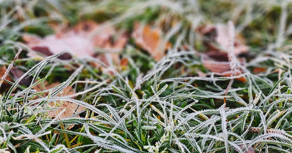 Kemény fagyokkal érkezett a csillagászati ősz, mínusz fokokat is mértek