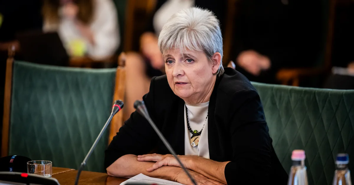 Lannert Judit: A közösségi média a középosztály gyerekeit is lebutítja