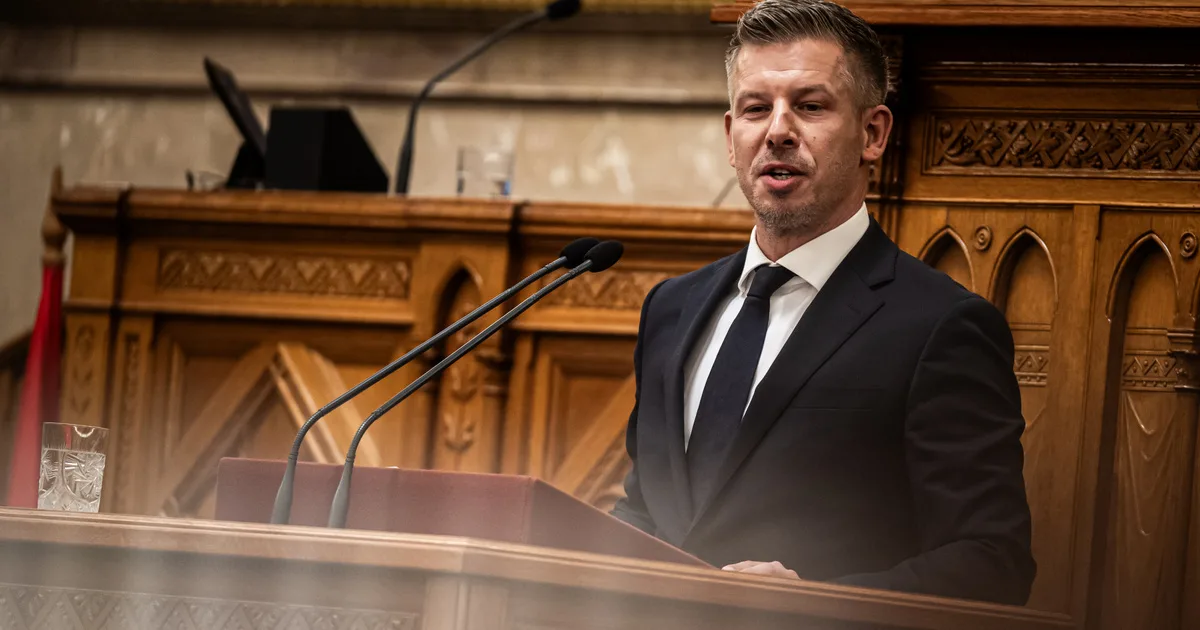 Magyar Péter 133 nappal később válaszolt Orbán Viktornak: „Talán a Fideszre gondolt?”