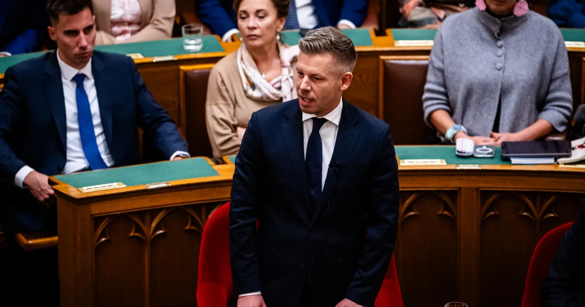 Magyar Péter: Toroczkai a maffia érdekében hazudik, és tippjei is vannak, miért