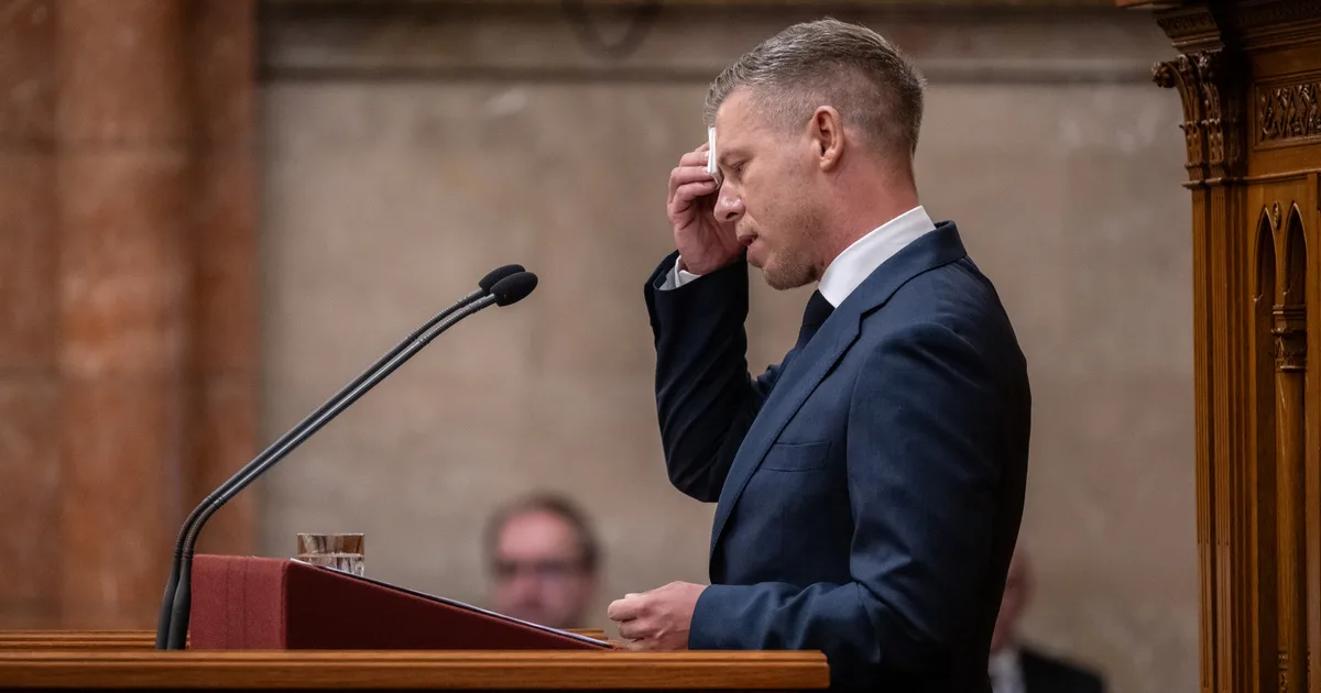Megszavazták, felfüggesztették Magyar Péter mentelmi jogát