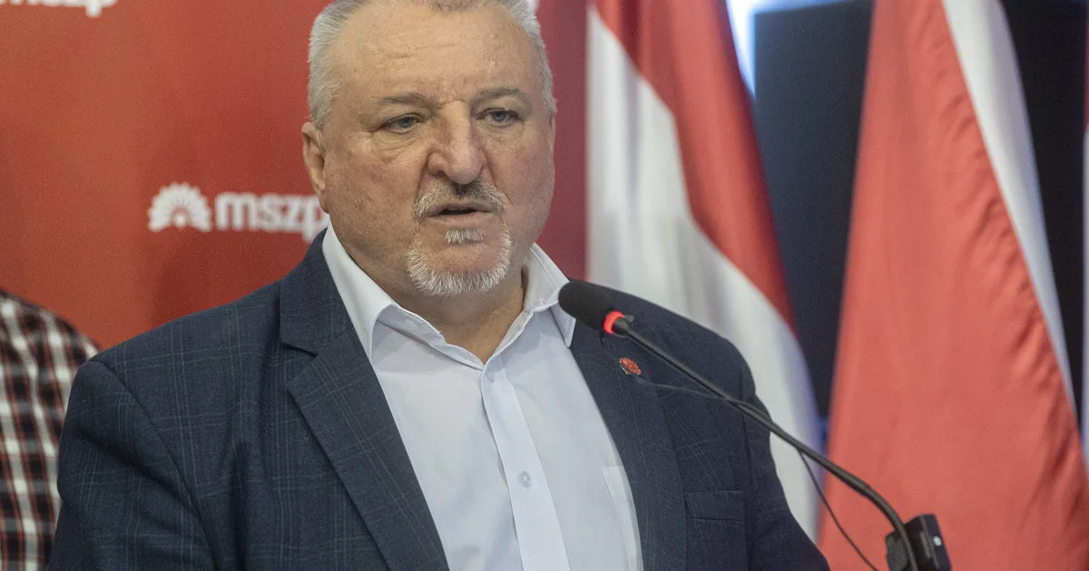 MSZP-elnökkeresés két miniszter letartóztatása közben