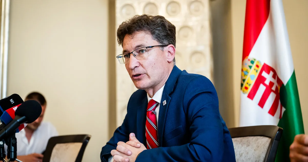 Nagy bajban a Videoton: nincs új tulajdonos, a pályázónak nincs elég pénze