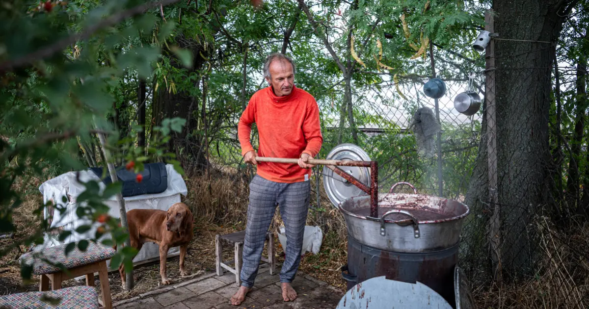 Szilvalekvár, békahullák – egy szentesi biokertész harca a magyar vidékért
