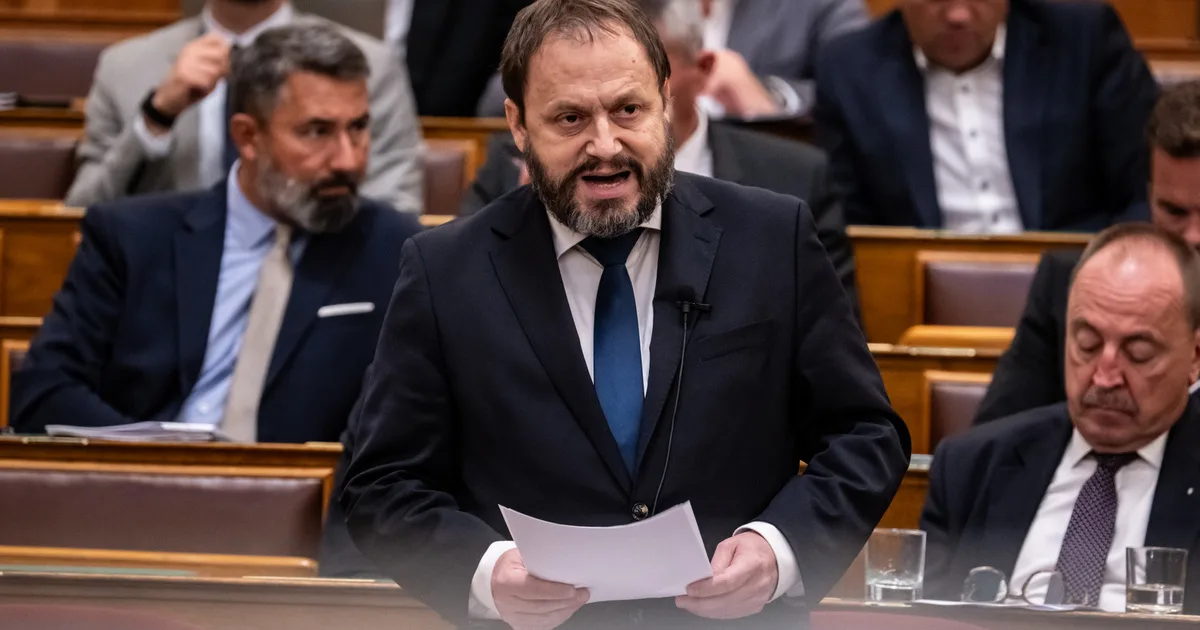 Kármán András szerint már 2032-ben jöhet az euró a kormány tervei szerint