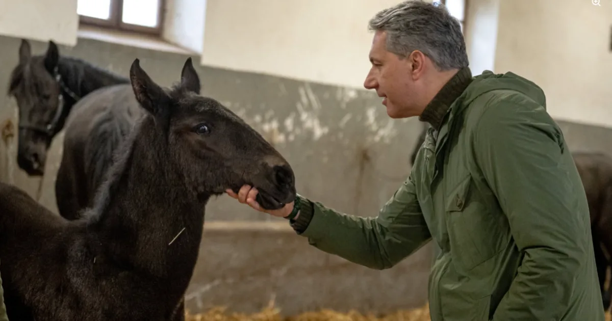 Most ön is vezetheti Lázár János volt ménesbirtokát, mutatjuk az elvárásokat