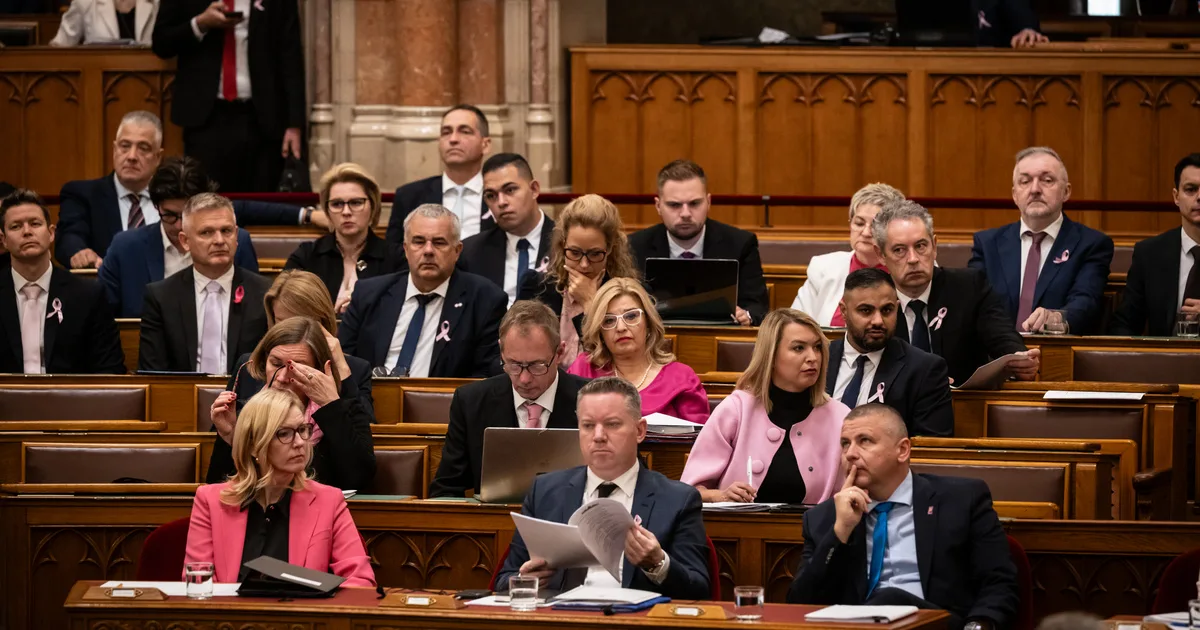 Rózsaszínben tüntettek a képviselők a mellrák elleni küzdelemért